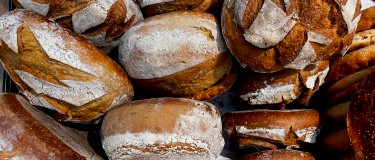 A pile of bread loaves with flour on top | Maintenance