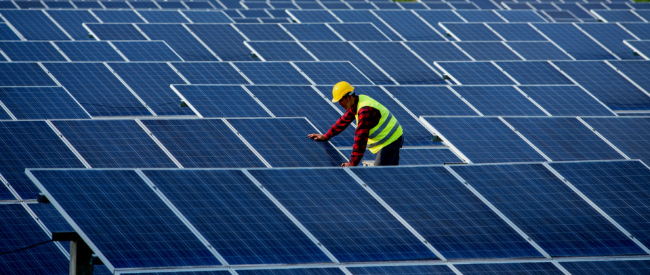 maintenance worker inspection on field of solar panels
