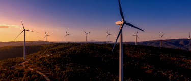 wind turbines scattered across rolling hills at sunrise