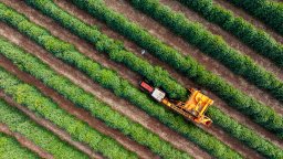 farm field worker picks crops of farm machine | CMMS