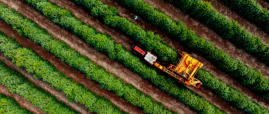 farm field worker picks crops of farm machine | CMMS