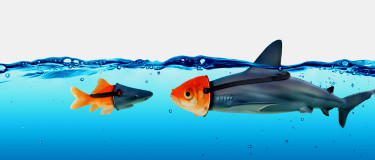 CMMS misconceptions | fish waring a shark mask faces off with a shark wearing a fish mark