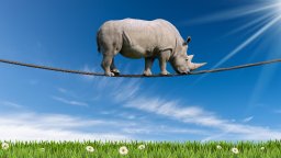 Maintenance | Rhino balances on wire above green grass