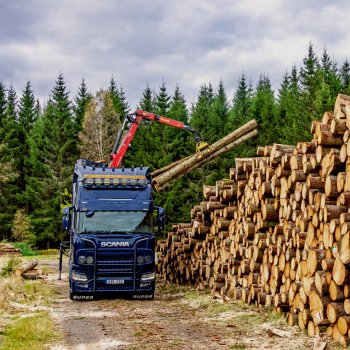 Truck with claw on back lifts logs onto truck | Maintainly
